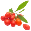 Goji Berry Ingredient